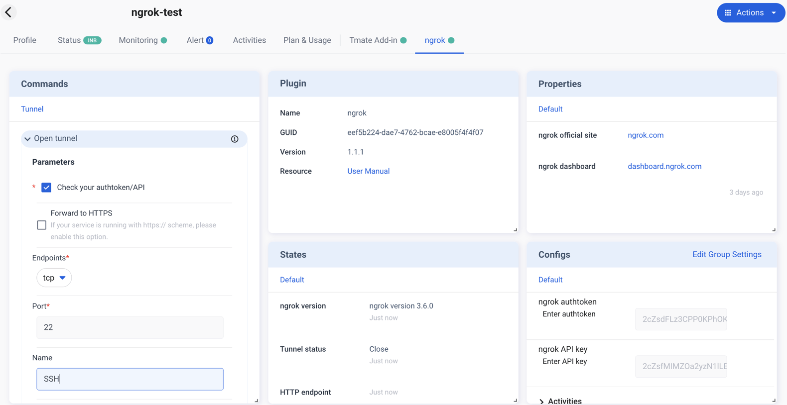 How to Use ngrok Plugin