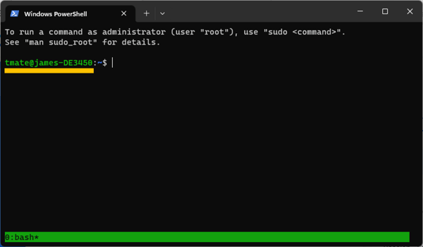 tmate-windows-terminal