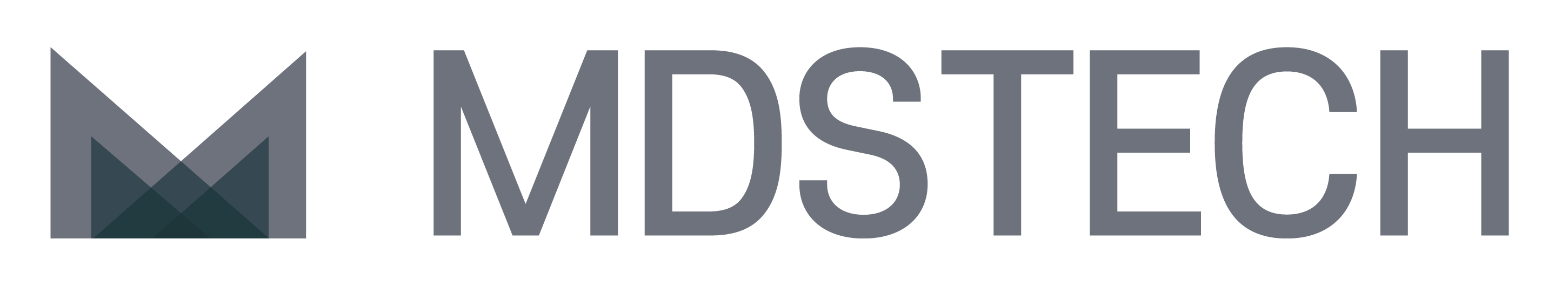 MDS Tech_Logo_Gray